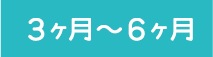 ３ヶ月〜６ヶ月