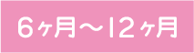 ６ヶ月〜12ヶ月