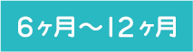 ６ヶ月〜12ヶ月