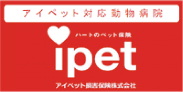 アイペット対応動物病院