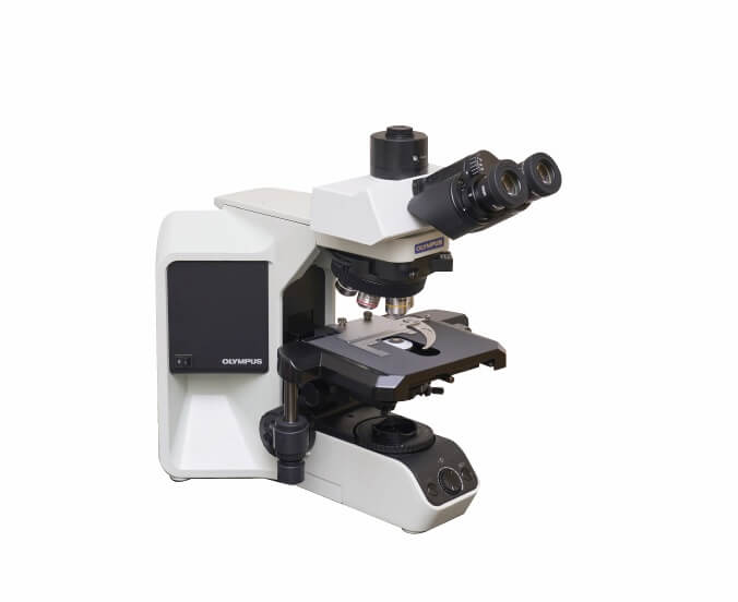 顕微鏡（OLYMPUS）