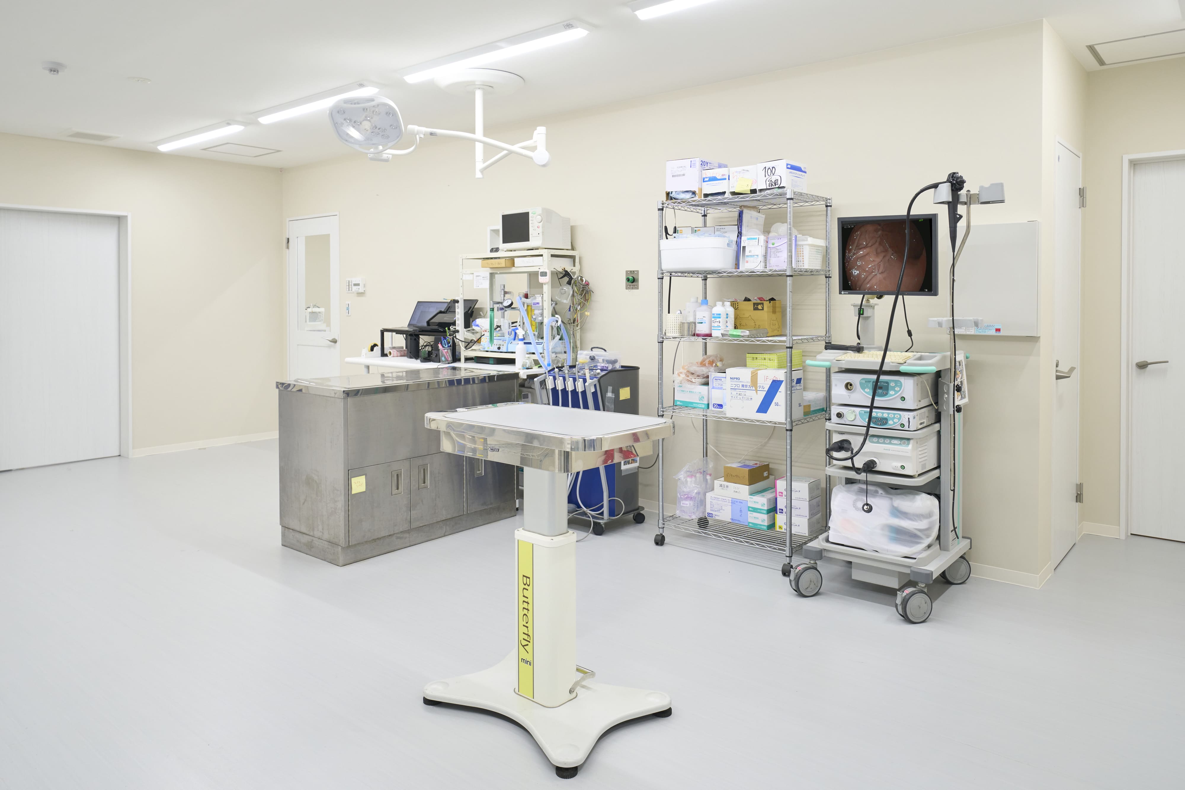 医療器具や検査機器が整然と並ぶ清潔な処置室の内部
