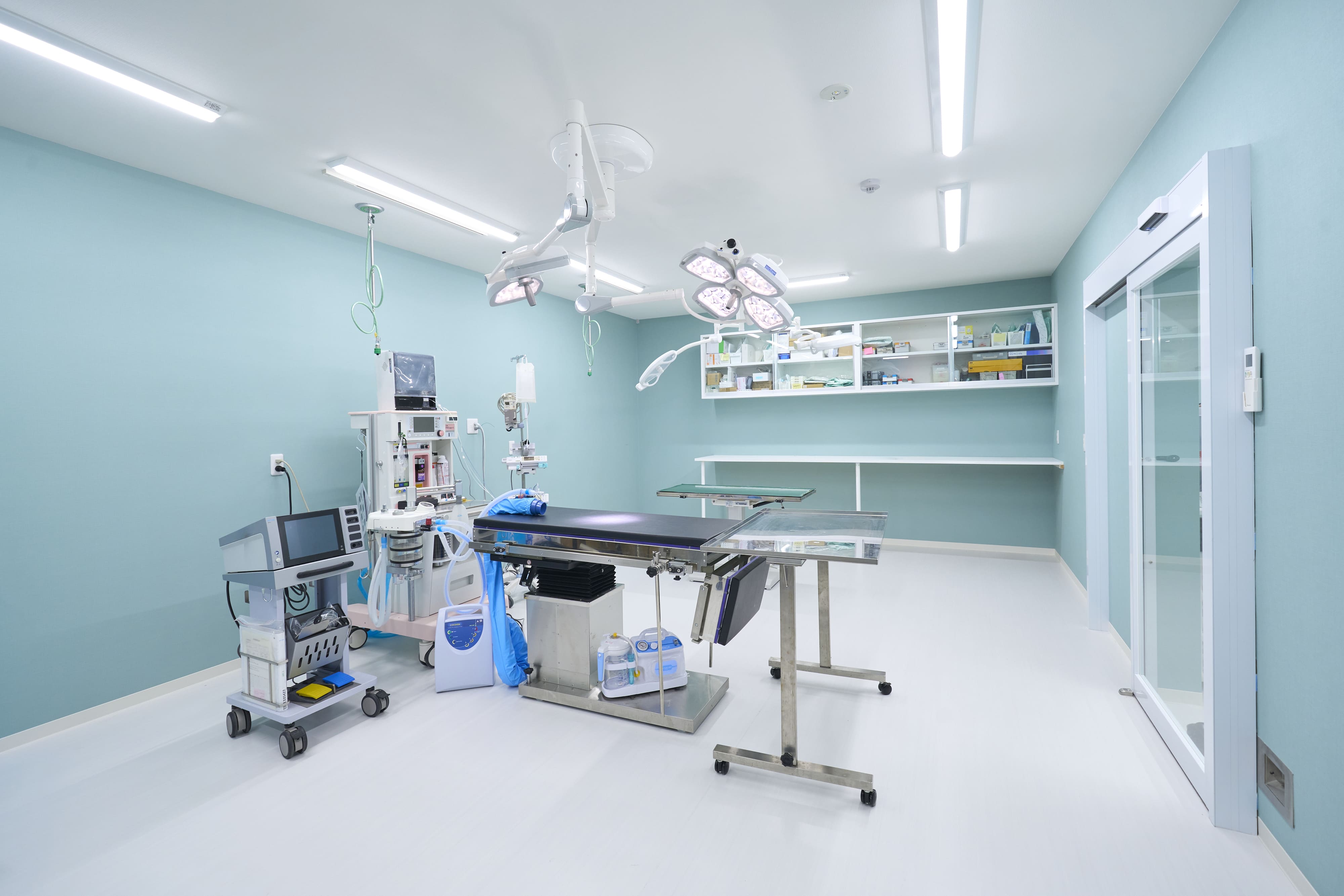 近代的な手術設備が整った清潔な動物病院の手術室