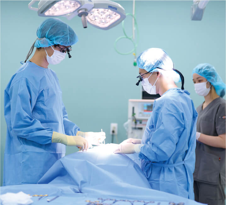 手術室で青い手術着とマスクを着た獣医師たちが動物の手術を行っている場面