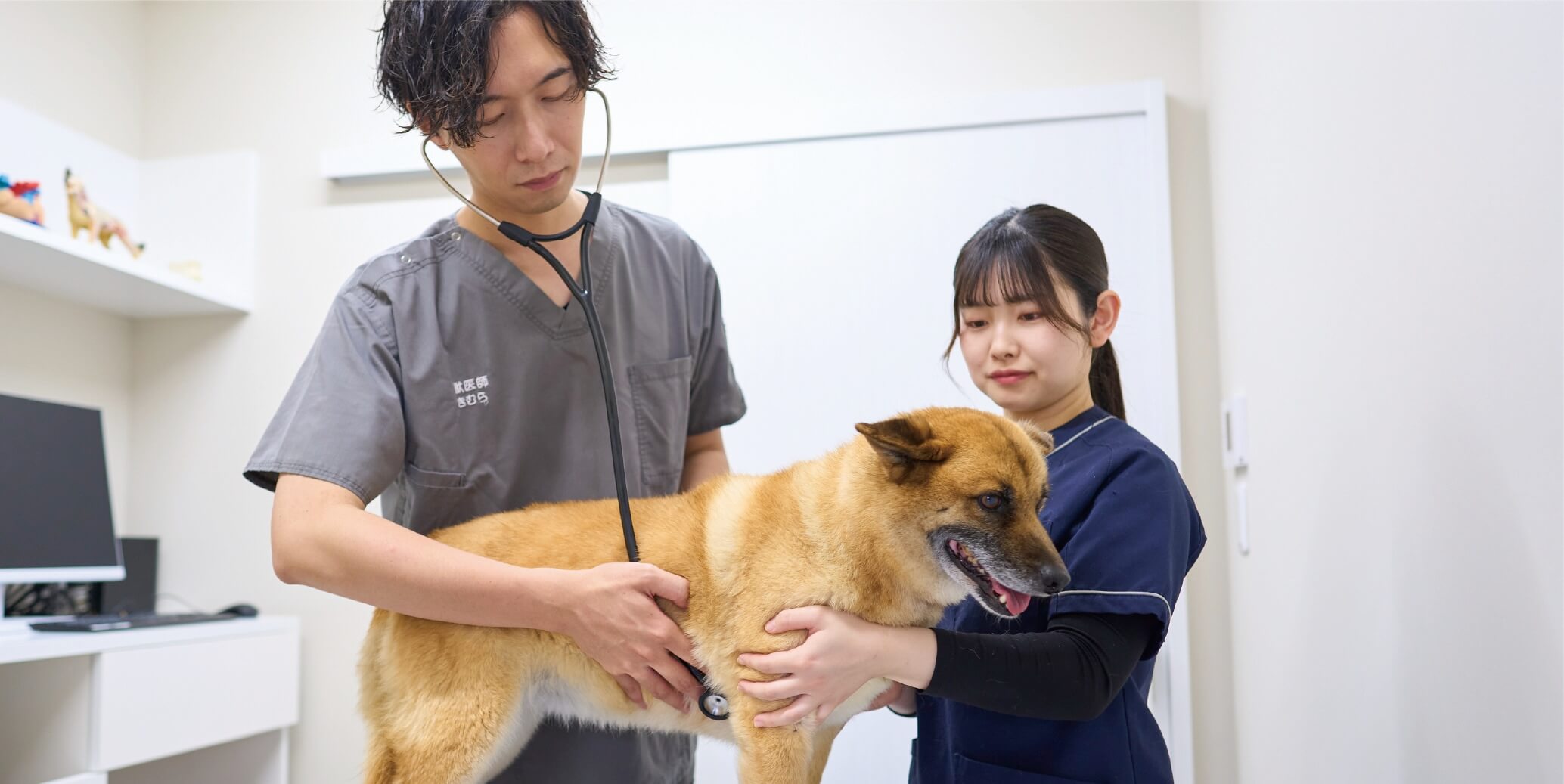 動物病院の建物前に立つ看板に「木更津みき動物病院」と書かれている